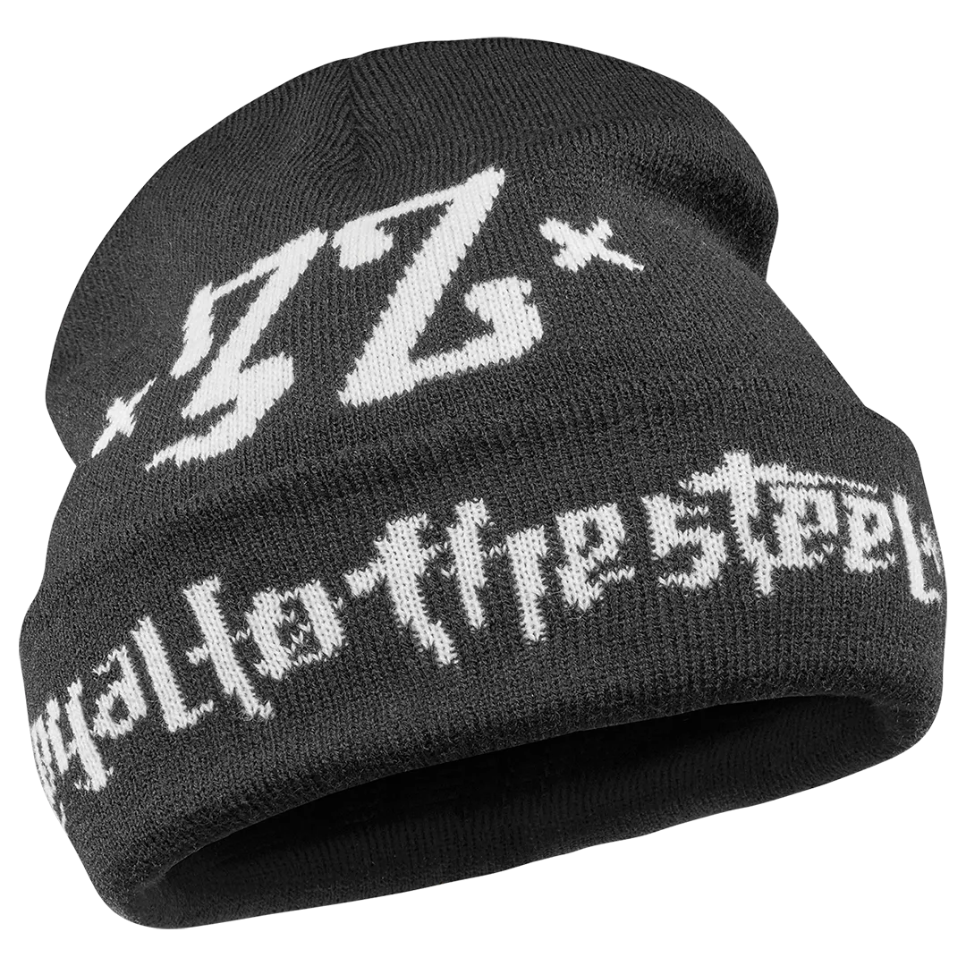 STEEL BEANIE