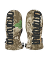 CAMO thumbnail
