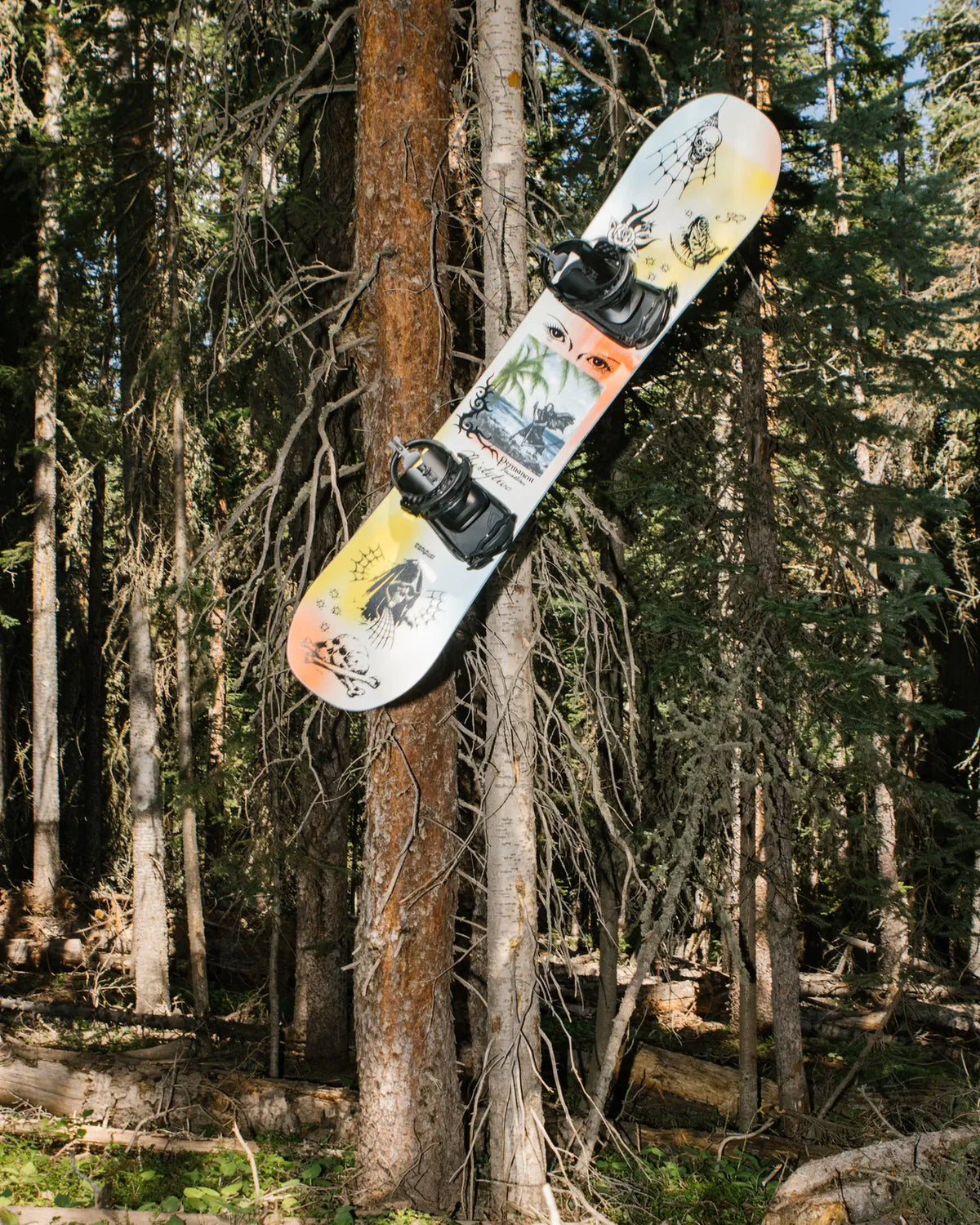 Permanent Vacation Snowboards Thirtytwo Rider Driven Snowboarding Snow Premium